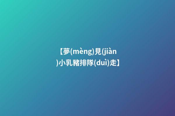 【夢(mèng)見(jiàn)小乳豬排隊(duì)走】