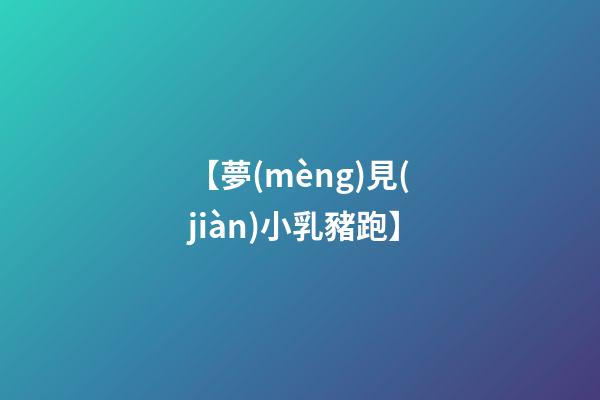 【夢(mèng)見(jiàn)小乳豬跑】