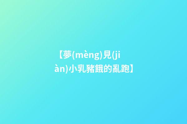 【夢(mèng)見(jiàn)小乳豬餓的亂跑】