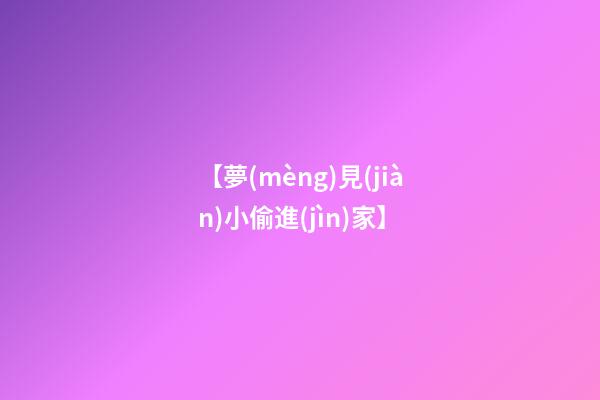 【夢(mèng)見(jiàn)小偷進(jìn)家】