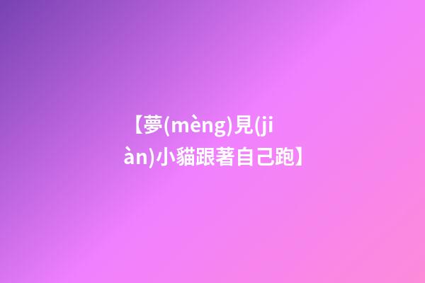 【夢(mèng)見(jiàn)小貓跟著自己跑】