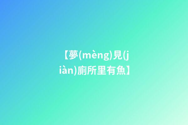 【夢(mèng)見(jiàn)廁所里有魚】