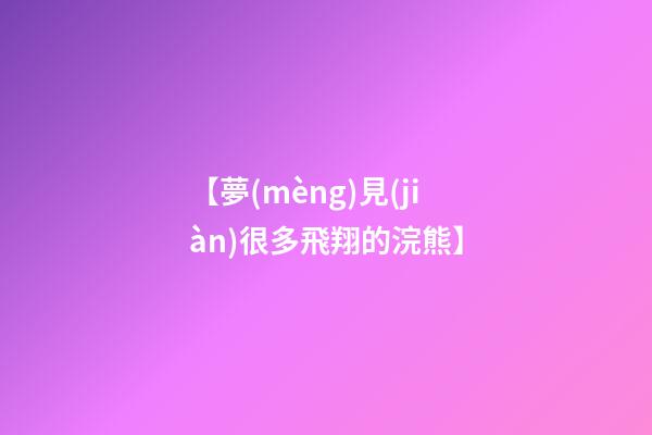【夢(mèng)見(jiàn)很多飛翔的浣熊】