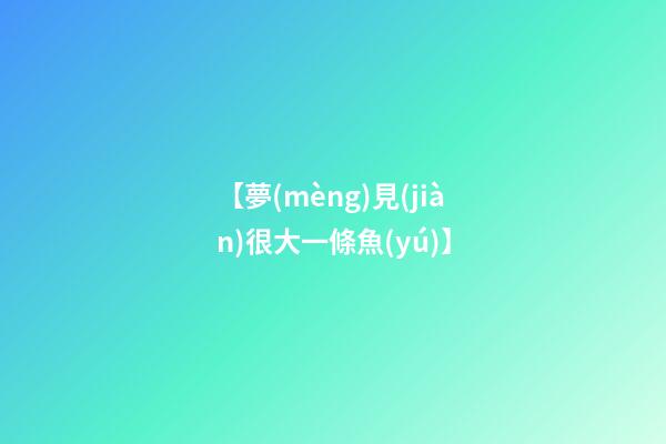 【夢(mèng)見(jiàn)很大一條魚(yú)】
