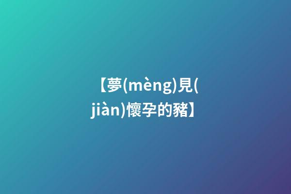 【夢(mèng)見(jiàn)懷孕的豬】