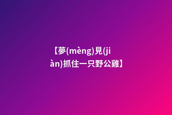 【夢(mèng)見(jiàn)抓住一只野公雞】