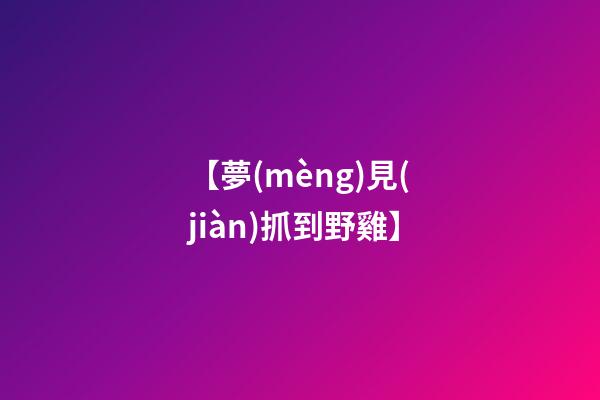 【夢(mèng)見(jiàn)抓到野雞】