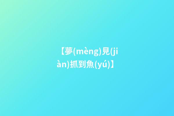 【夢(mèng)見(jiàn)抓到魚(yú)】