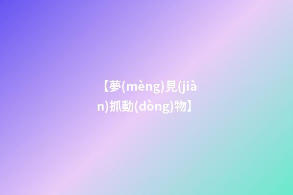 【夢(mèng)見(jiàn)抓動(dòng)物】