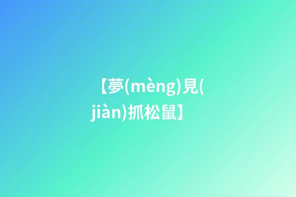 【夢(mèng)見(jiàn)抓松鼠】