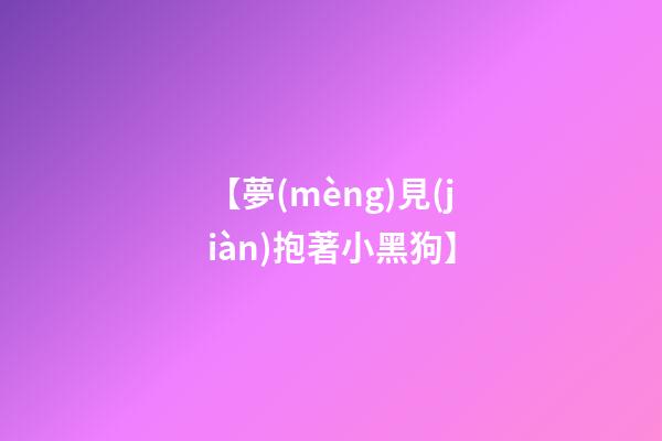 【夢(mèng)見(jiàn)抱著小黑狗】