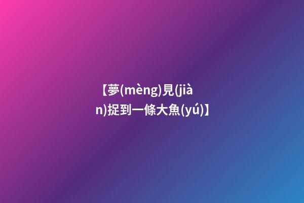 【夢(mèng)見(jiàn)捉到一條大魚(yú)】