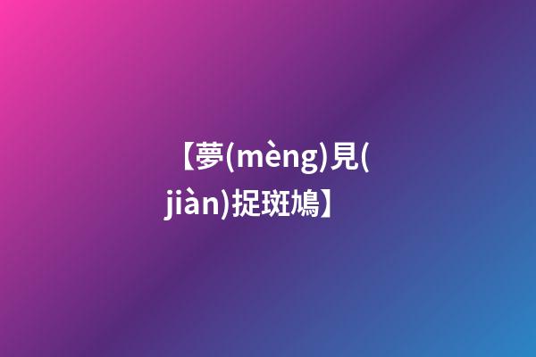 【夢(mèng)見(jiàn)捉斑鳩】