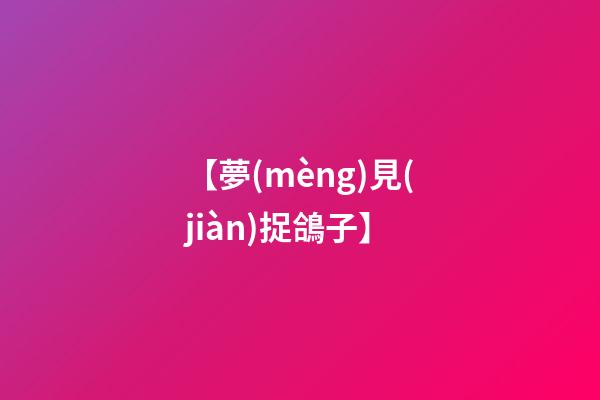 【夢(mèng)見(jiàn)捉鴿子】