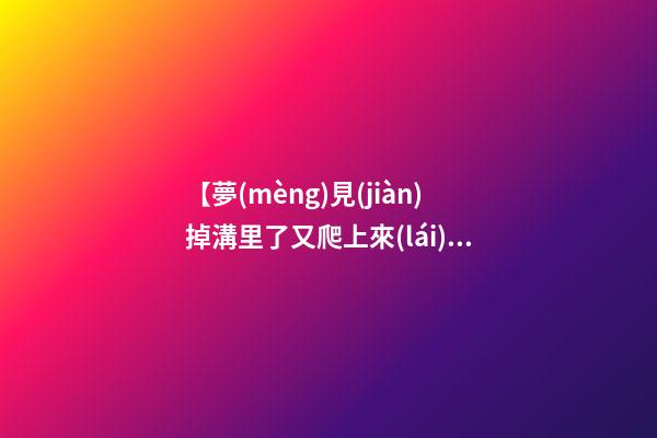 【夢(mèng)見(jiàn)掉溝里了又爬上來(lái)】