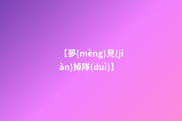 【夢(mèng)見(jiàn)掉隊(duì)】