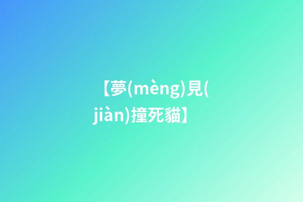 【夢(mèng)見(jiàn)撞死貓】