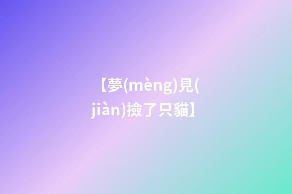 【夢(mèng)見(jiàn)撿了只貓】