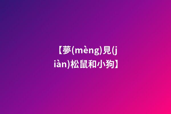 【夢(mèng)見(jiàn)松鼠和小狗】