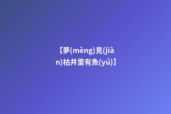 【夢(mèng)見(jiàn)枯井里有魚(yú)】