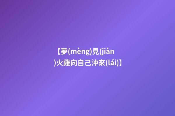 【夢(mèng)見(jiàn)火雞向自己沖來(lái)】