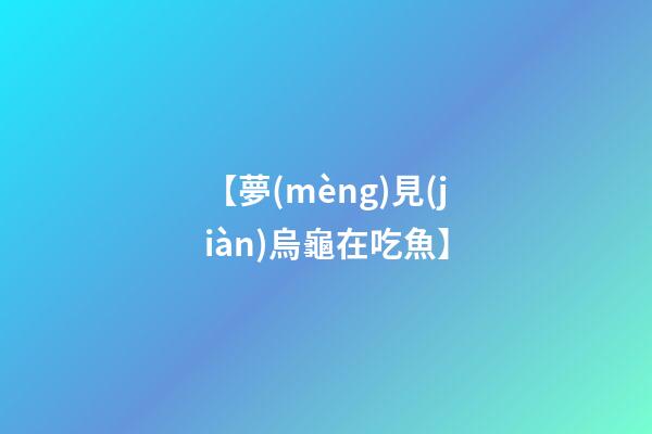 【夢(mèng)見(jiàn)烏龜在吃魚】