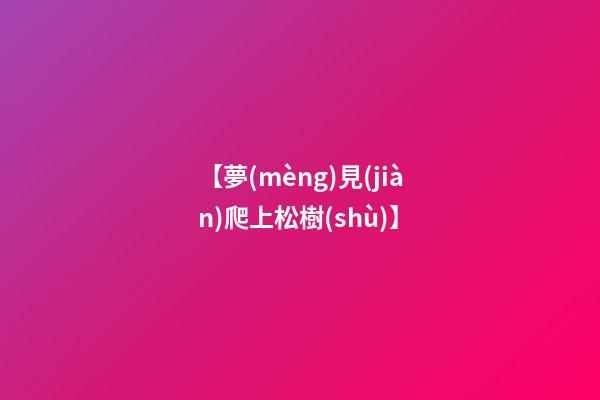 【夢(mèng)見(jiàn)爬上松樹(shù)】