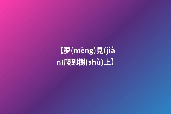 【夢(mèng)見(jiàn)爬到樹(shù)上】