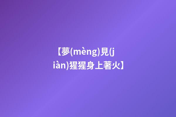 【夢(mèng)見(jiàn)猩猩身上著火】