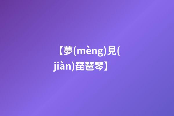 【夢(mèng)見(jiàn)琵琶琴】