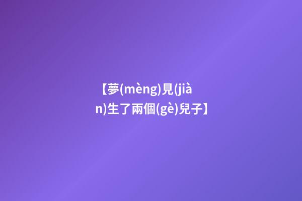 【夢(mèng)見(jiàn)生了兩個(gè)兒子】