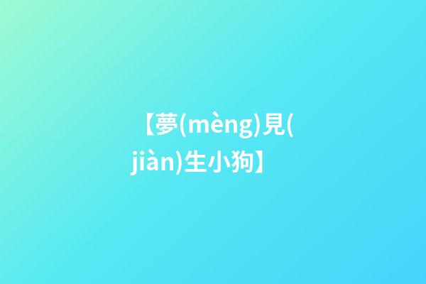 【夢(mèng)見(jiàn)生小狗】