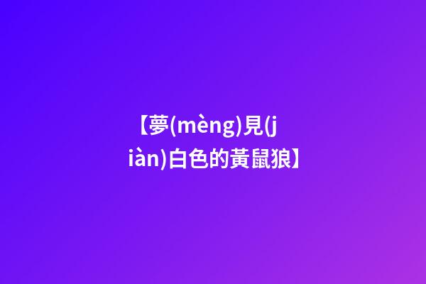 【夢(mèng)見(jiàn)白色的黃鼠狼】