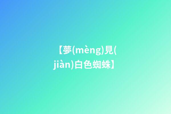 【夢(mèng)見(jiàn)白色蜘蛛】