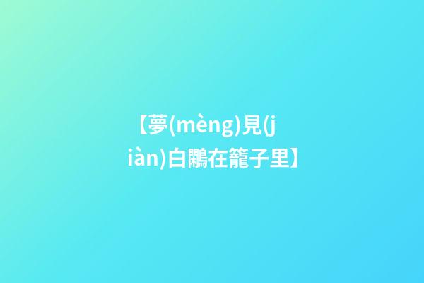 【夢(mèng)見(jiàn)白鷴在籠子里】
