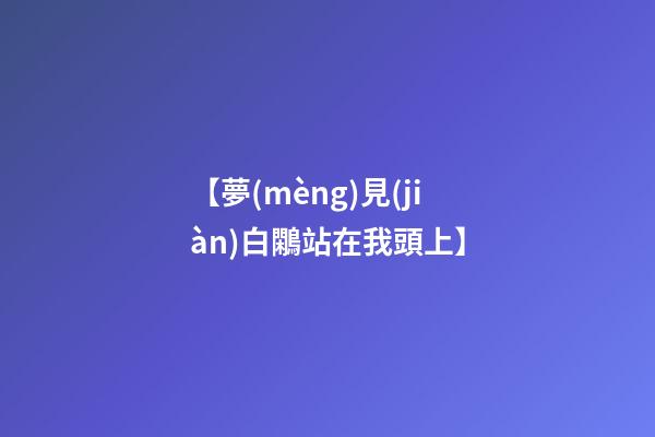 【夢(mèng)見(jiàn)白鷴站在我頭上】