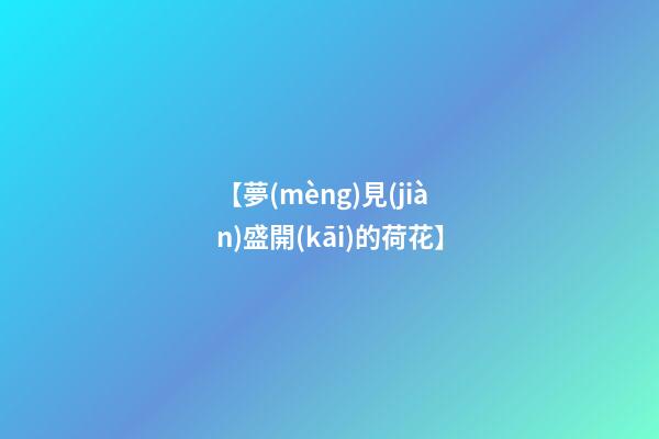 【夢(mèng)見(jiàn)盛開(kāi)的荷花】