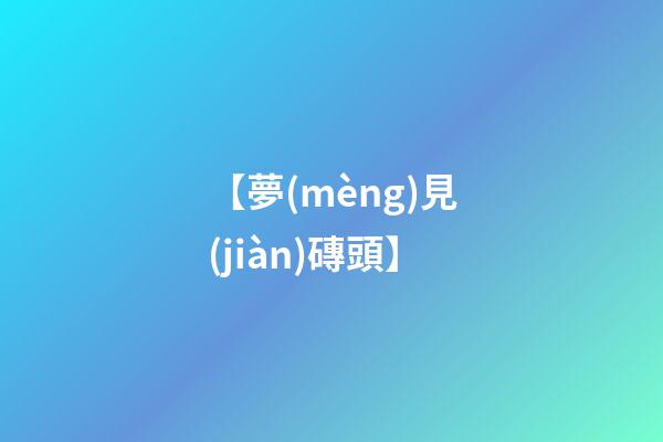 【夢(mèng)見(jiàn)磚頭】