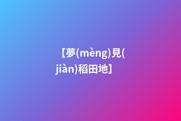 【夢(mèng)見(jiàn)稻田地】