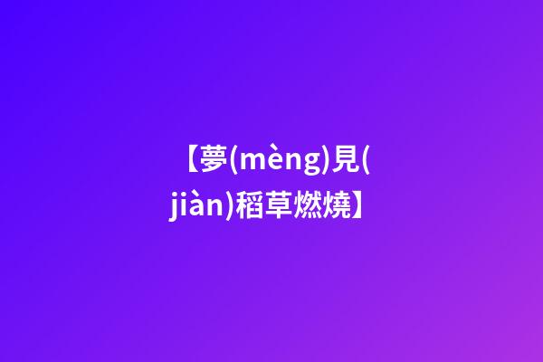 【夢(mèng)見(jiàn)稻草燃燒】