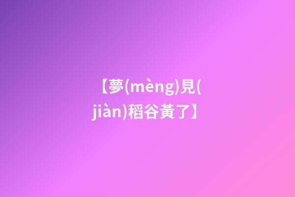 【夢(mèng)見(jiàn)稻谷黃了】
