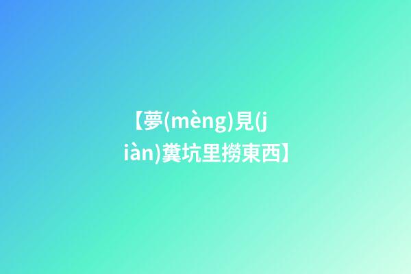 【夢(mèng)見(jiàn)糞坑里撈東西】