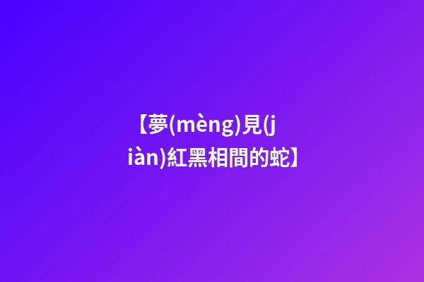 【夢(mèng)見(jiàn)紅黑相間的蛇】