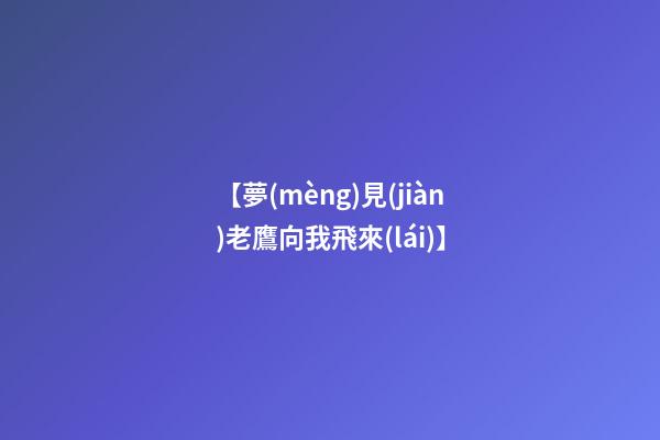 【夢(mèng)見(jiàn)老鷹向我飛來(lái)】