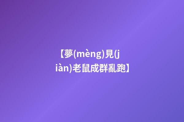 【夢(mèng)見(jiàn)老鼠成群亂跑】