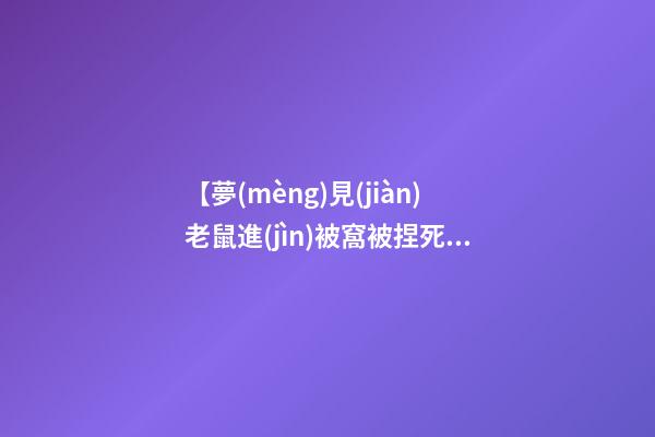 【夢(mèng)見(jiàn)老鼠進(jìn)被窩被捏死】