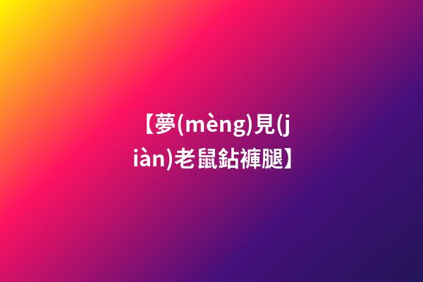 【夢(mèng)見(jiàn)老鼠鉆褲腿】