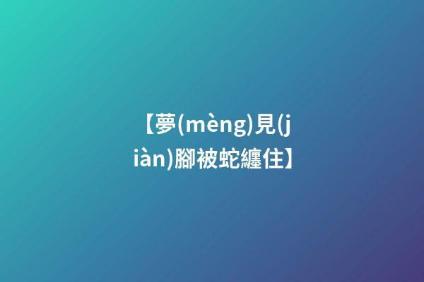 【夢(mèng)見(jiàn)腳被蛇纏住】