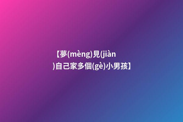 【夢(mèng)見(jiàn)自己家多個(gè)小男孩】