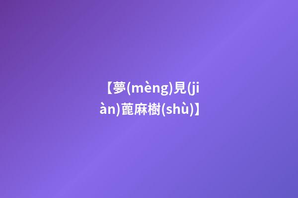 【夢(mèng)見(jiàn)蓖麻樹(shù)】